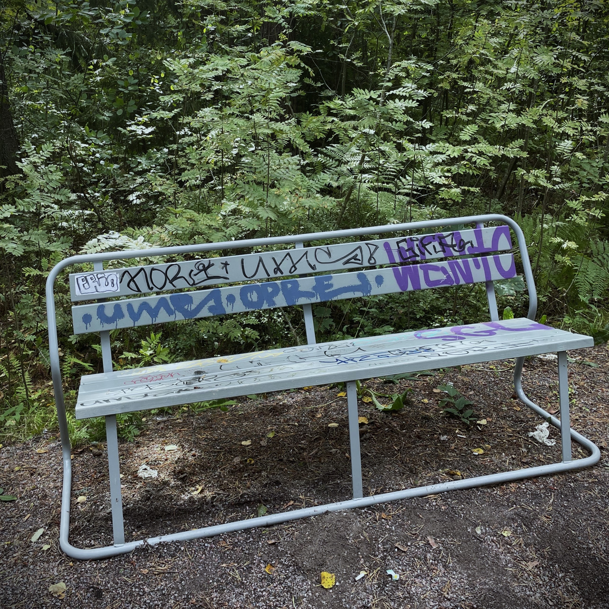 tyhjä puistonpenkki metsässä, jossa graffititekstejä